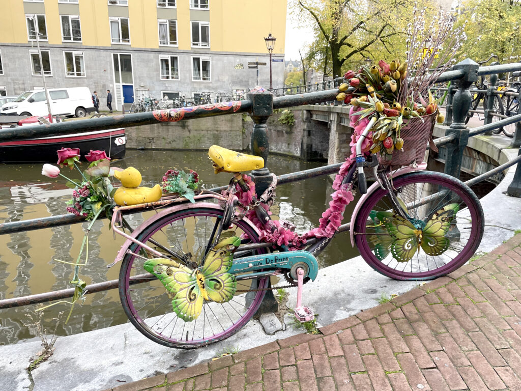 Tulpen aus Amsterdam Fahrrad 2