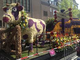 Blumenkorsos in den Niederlanden